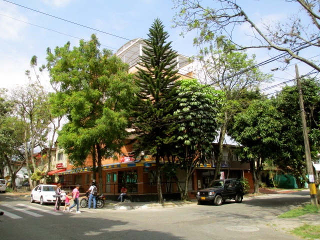 International House Medellin International House Medellin