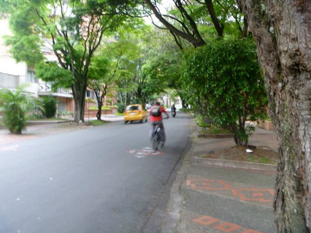 Circular 4 Circular 4, with all its trees forming a canopy over the road, is my favorite street in Laureles.