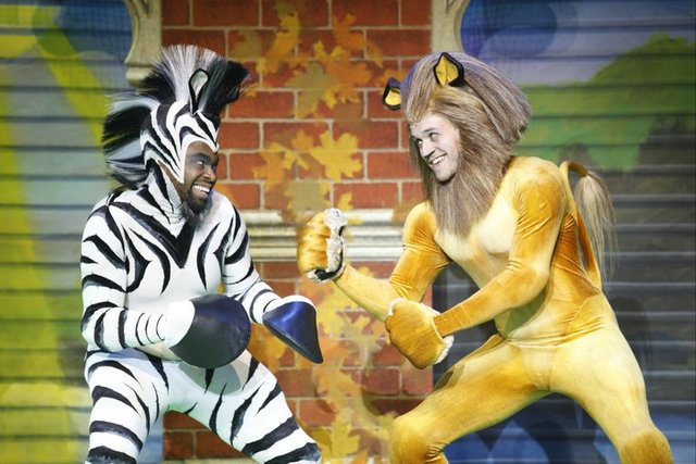 I didn't know lions and zebras could box. 