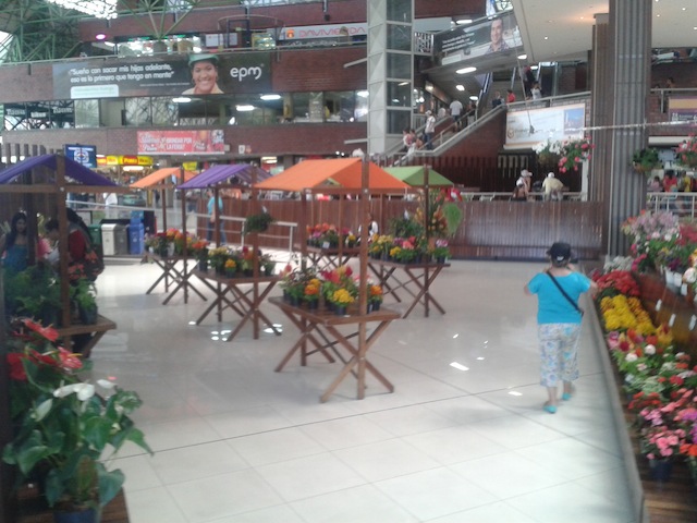 Terminal Norte El museo vivo de flores en la Terminal Norte