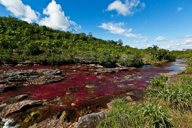 This might be the most breathtaking place in all of Colombia. Thanks to Vinitur for the awesome photo.