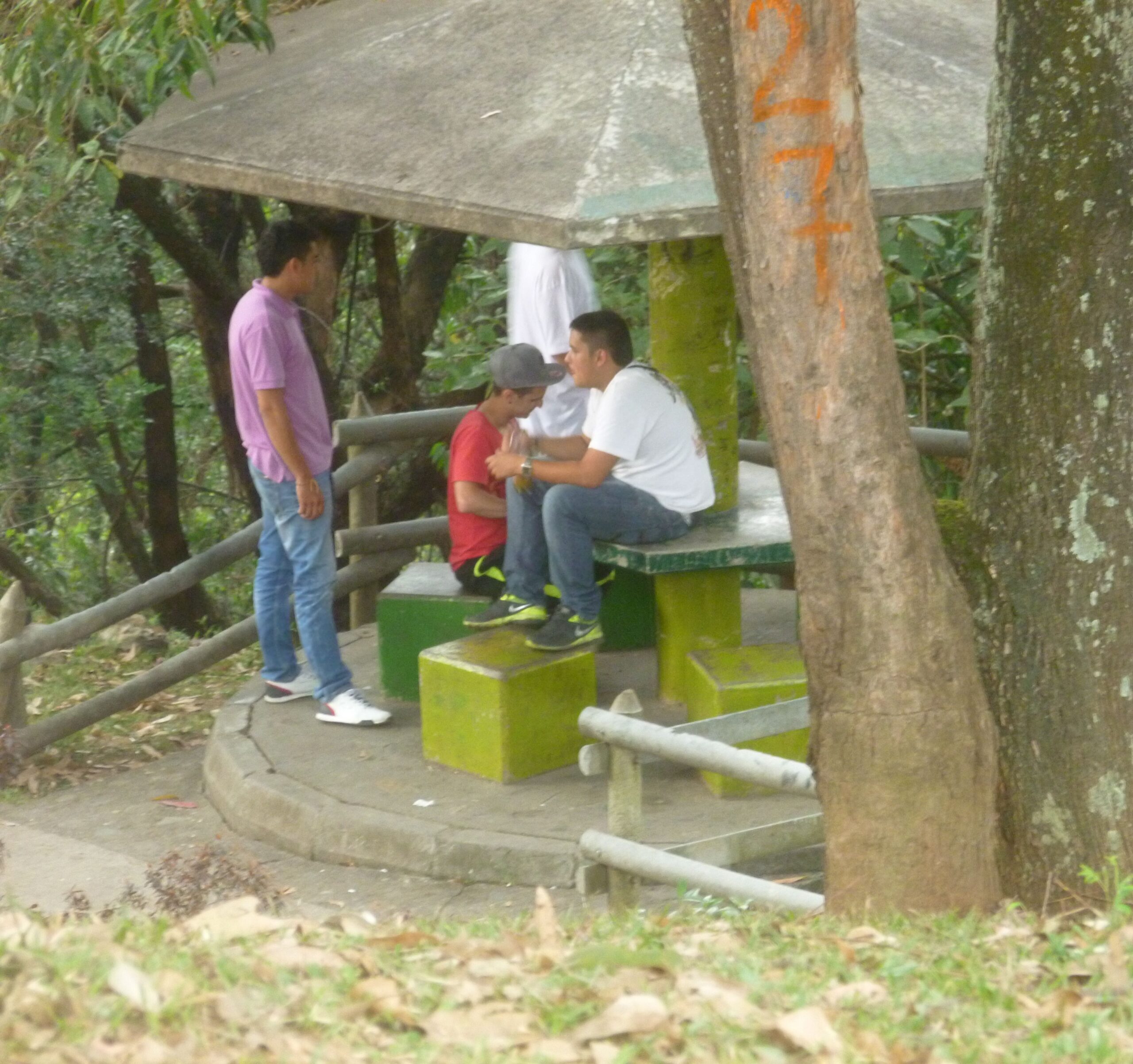 La Asomadera La Asomadera, the big park along the western edge of the comuna, is one of the area's attractions.
