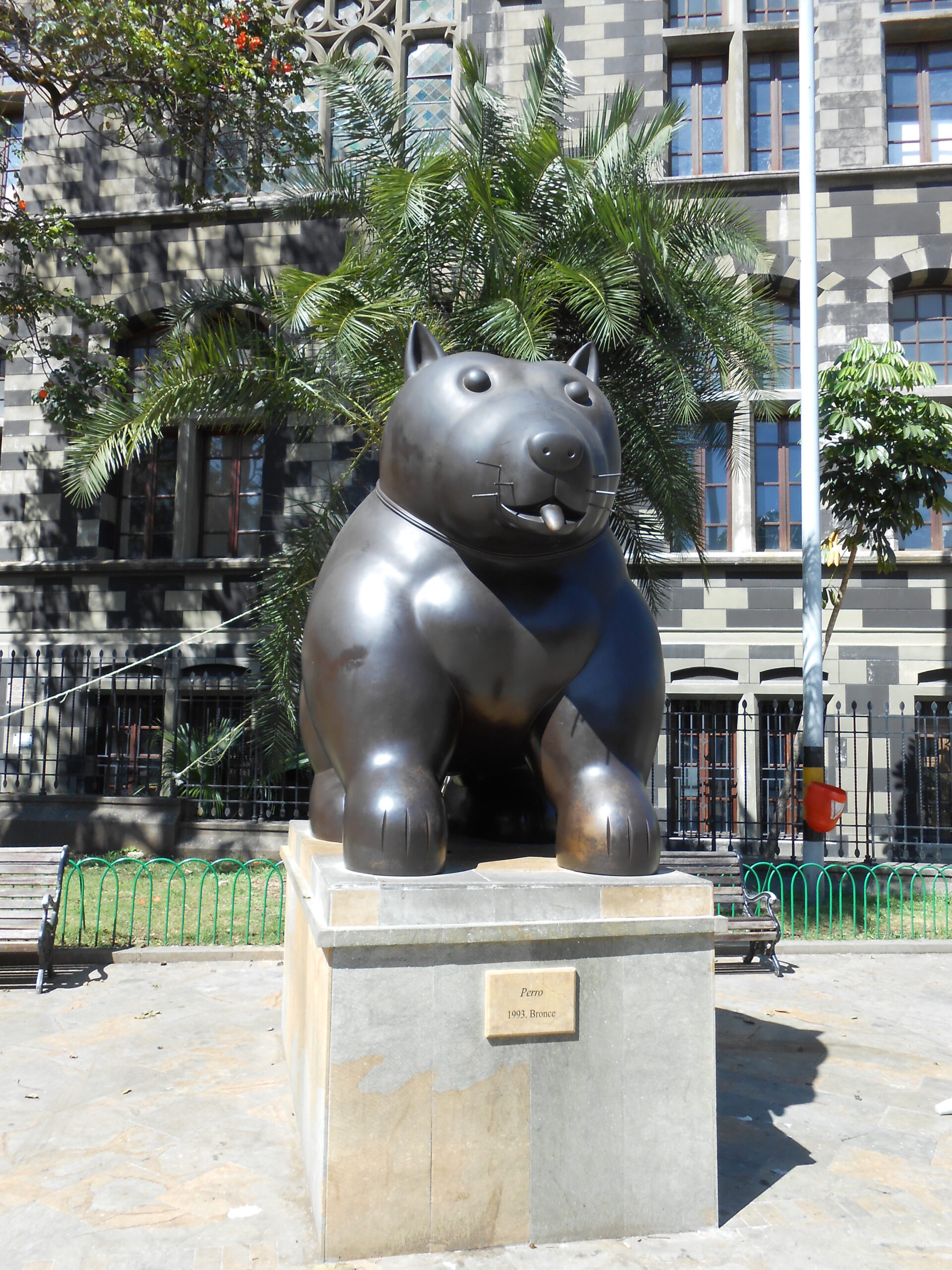 ¿Gato o perro? ¿Es un gato o es un perro?
