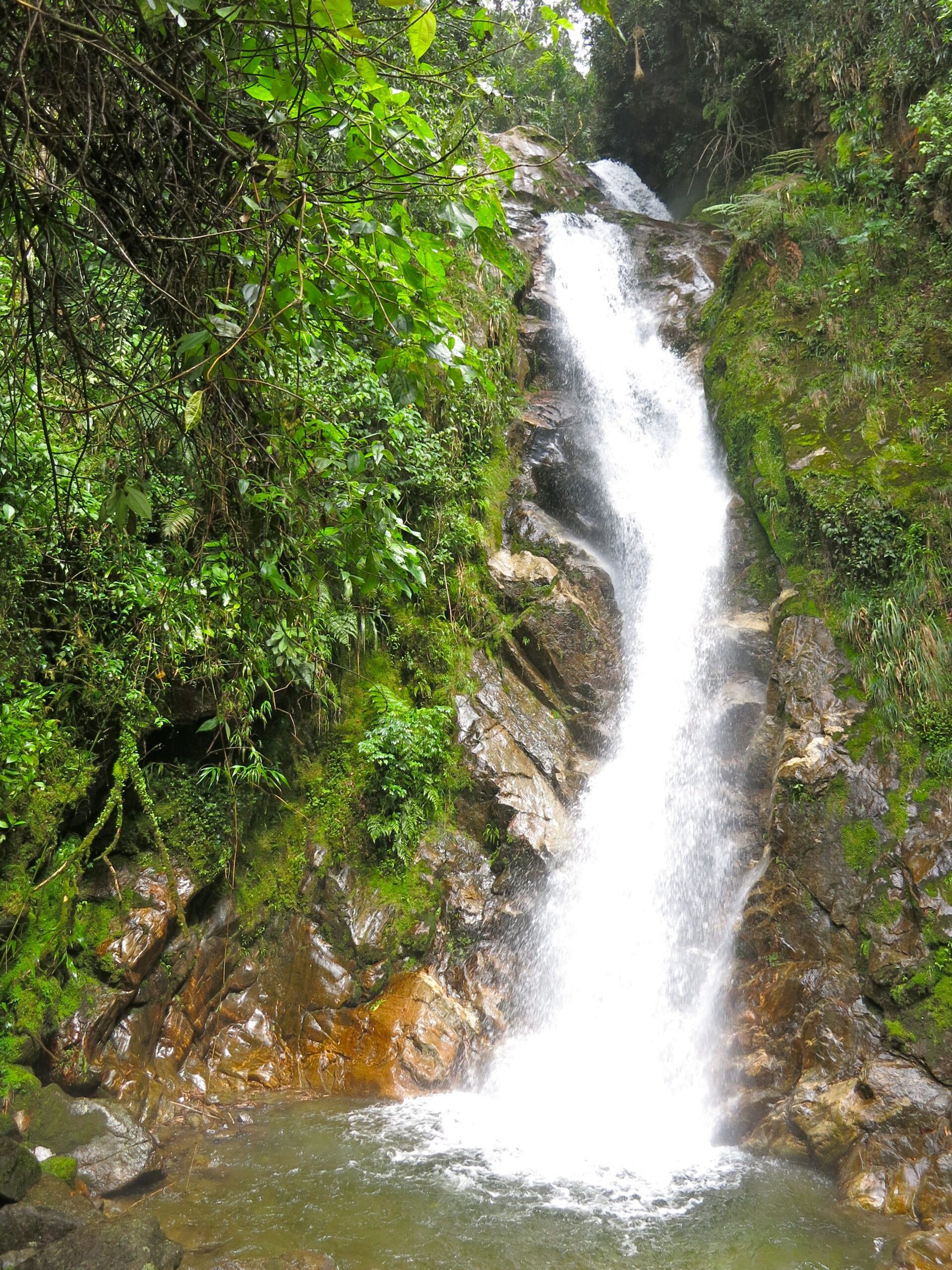 Cascada Había estado buscando Arenales por más de dos años. Finalmente lo encontré de nuevo.
