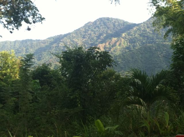 The mountains of Minca