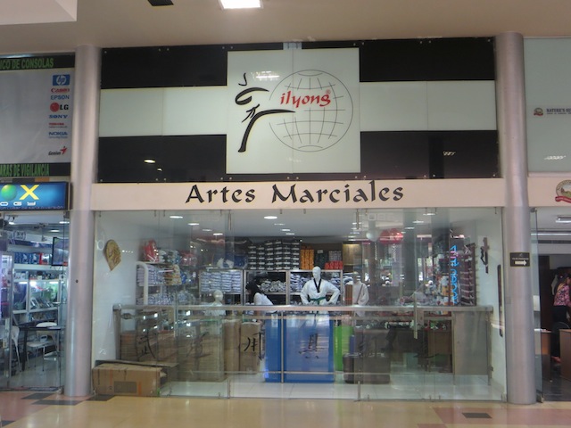 Artes Marciales Artes Marciales in Monterrey mall