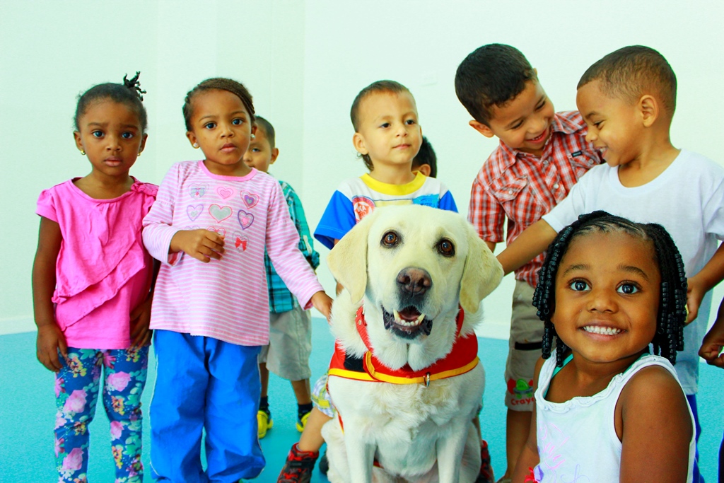Animal therapy! Animal therapy!