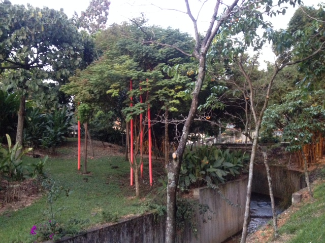 Park Painted red trees... but why?