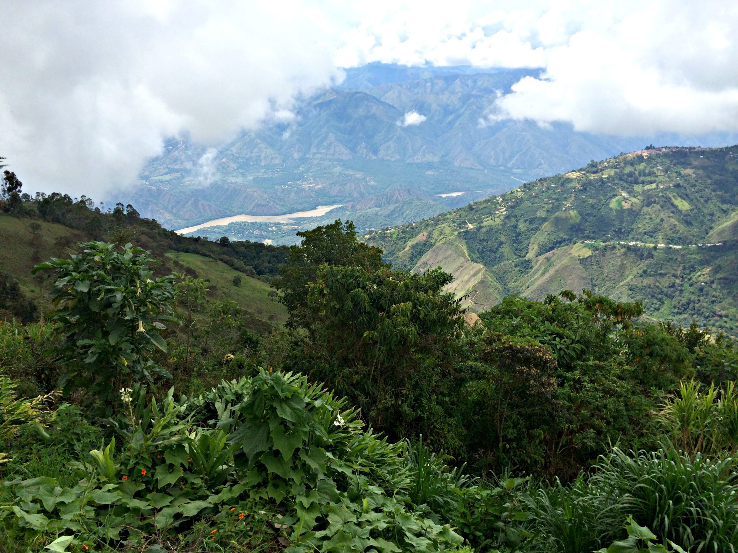 Río Cauca View of the Río Cauca from Horizontes.