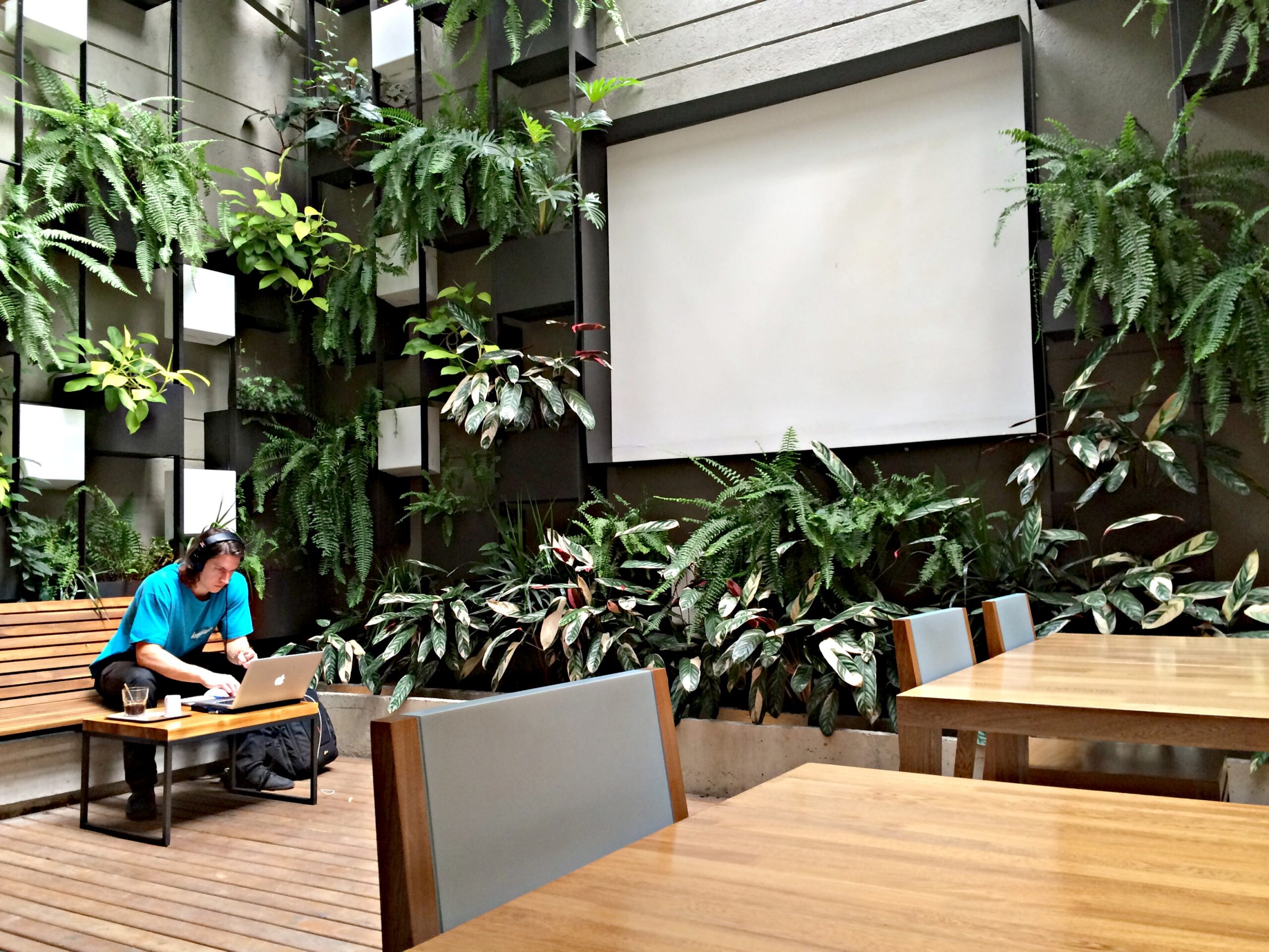 Café Velvet Medellín