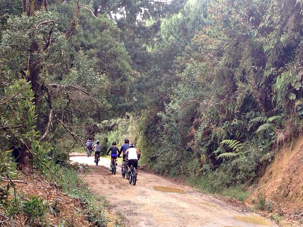 Downhill mountain biking Downhill mountain biking