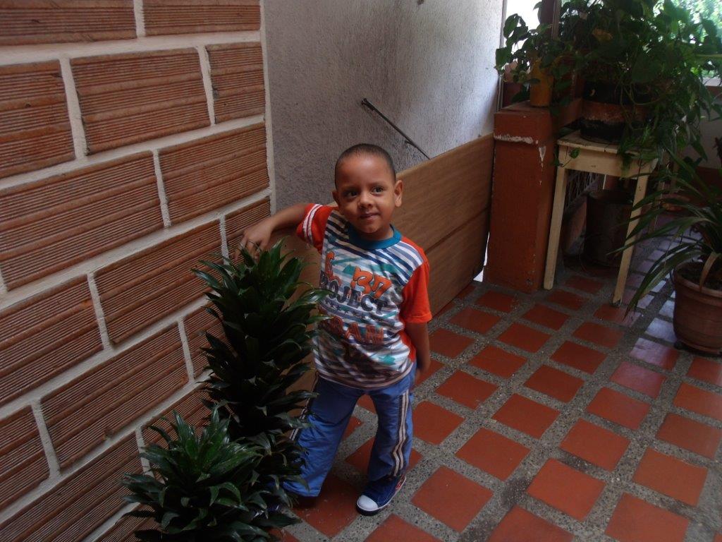 Angel David