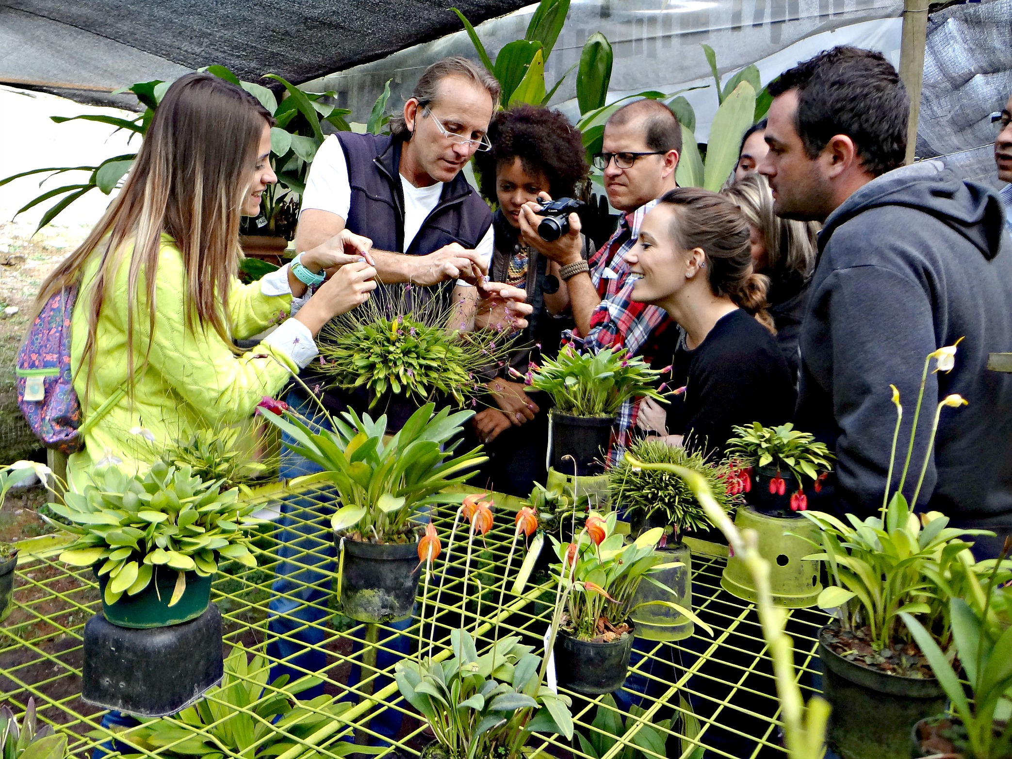 Orchids Orchid greenhouse, Entre Flores