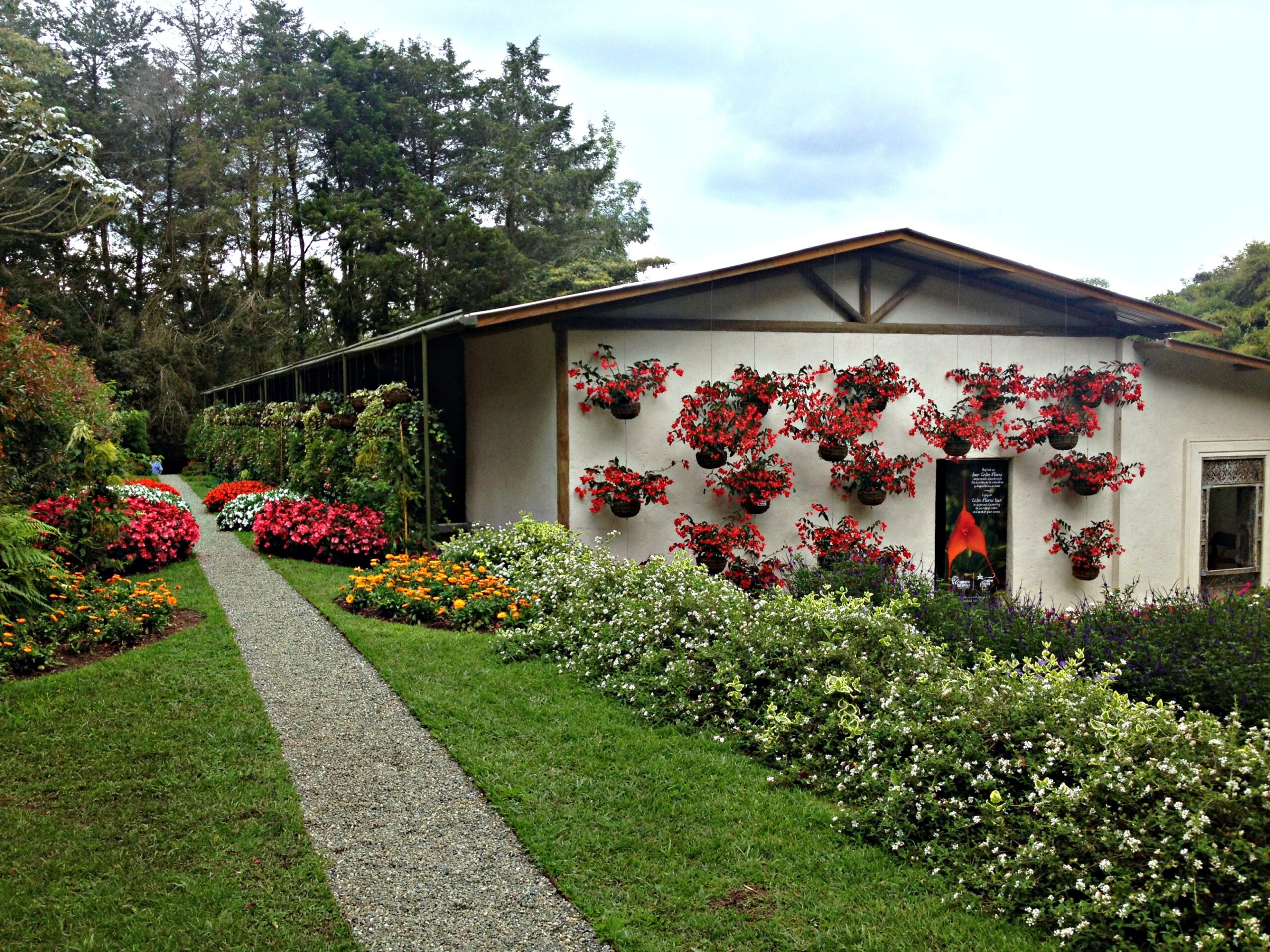Garden Garden, Entre Flores