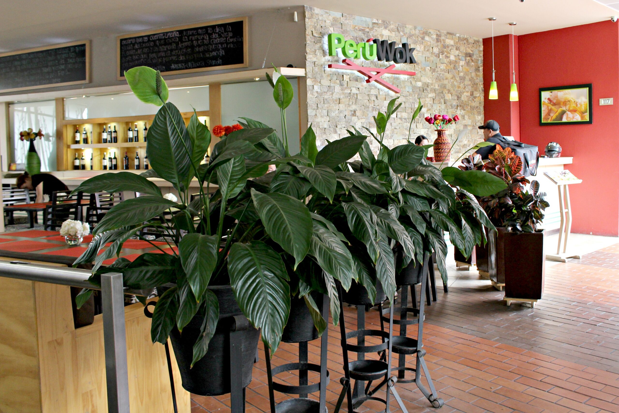 Peru Wok Peruvian-Asian fusion at PeruWok, Mall Zona Dos