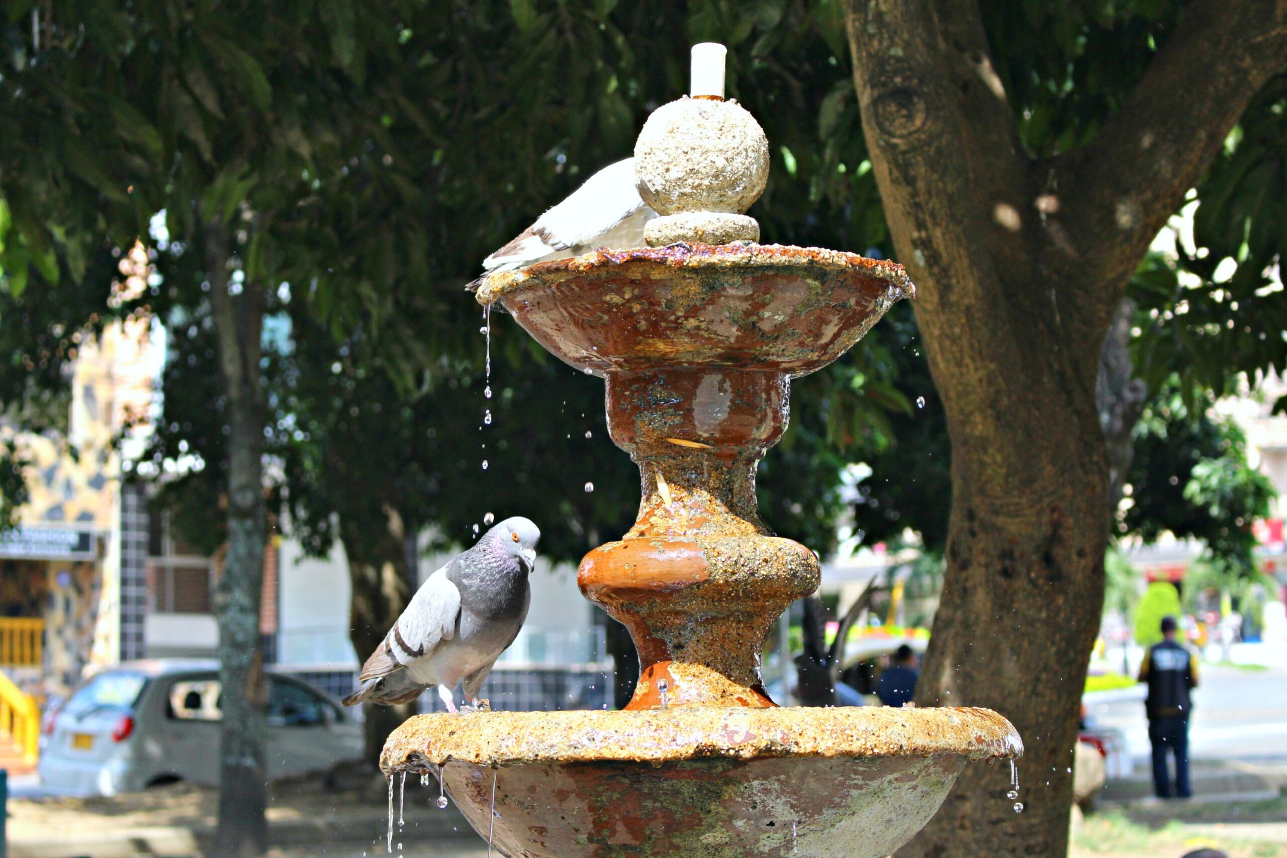 Parque Floresta