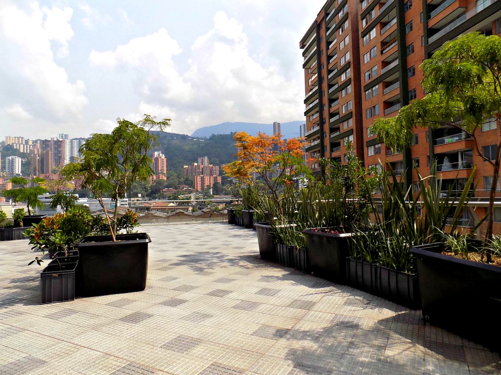 Terraza Terraza