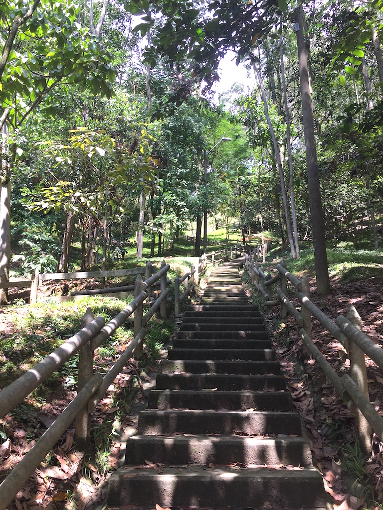 Uno de los muchos senderos del parque