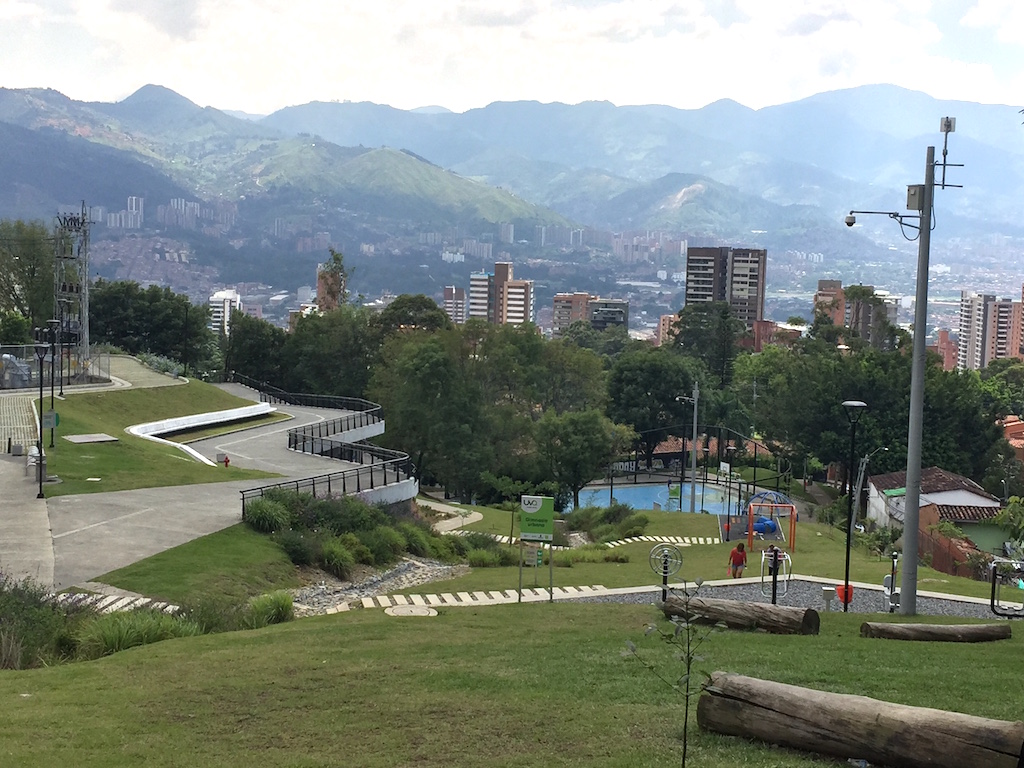 Vista parcial de Uva Ilusión Verde