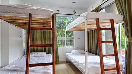 Cozy dorm room among the trees!