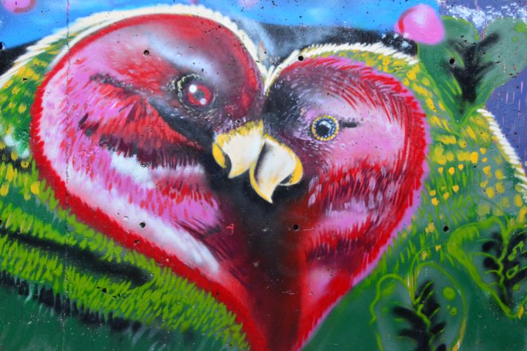 Graffiti para cada estado de relación: El mural de los «pájaros del amor» en la Comuna 13