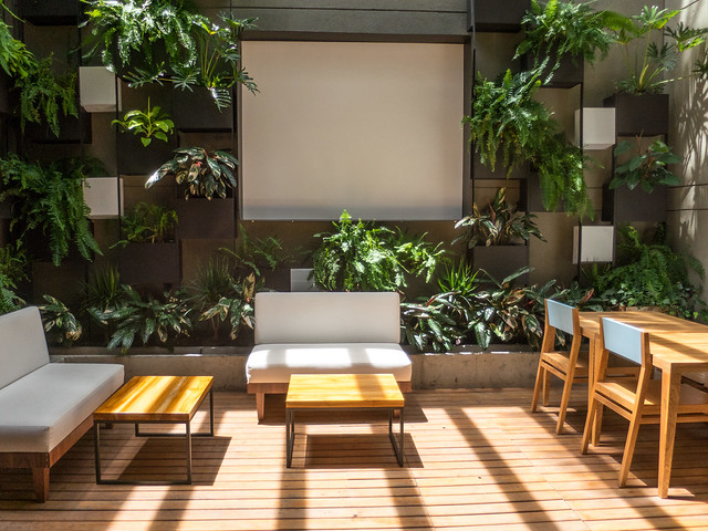 Sunlit patio in the back
