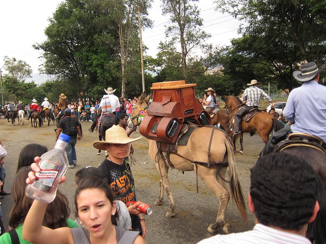 Una burroteca es un burro con parlantes personalizados amarrados. Esta estaba sonando música vallenata a todo volumen en el desfile. Una burroteca es un burro con parlantes personalizados amarrados. Esta estaba sonando música vallenata a todo volumen en el desfile.
