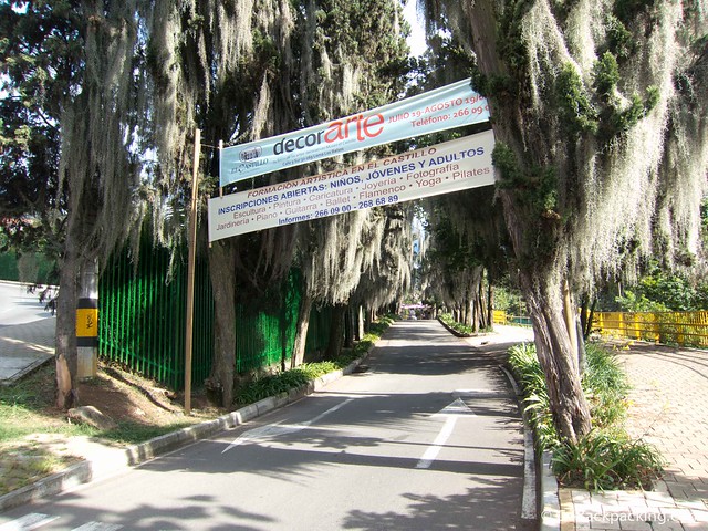 Camino de acceso al castillo