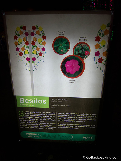 Signs in both English and Spanish explain the way flora and fauna are incorporated into the lighting designs