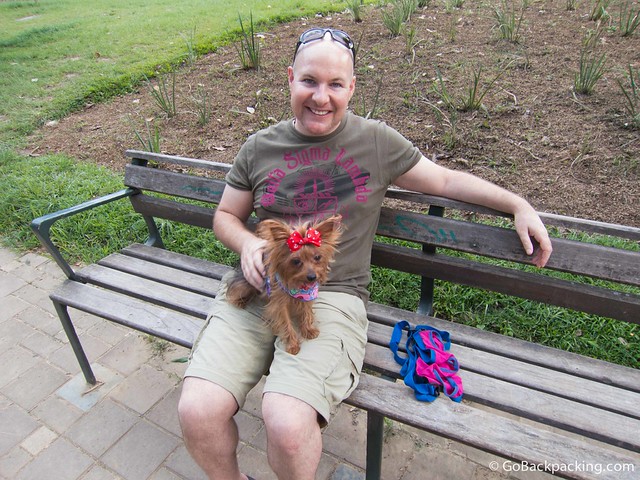 Paseando al perro Amantes de los perros de toda la ciudad visitan el parque cada fin de semana