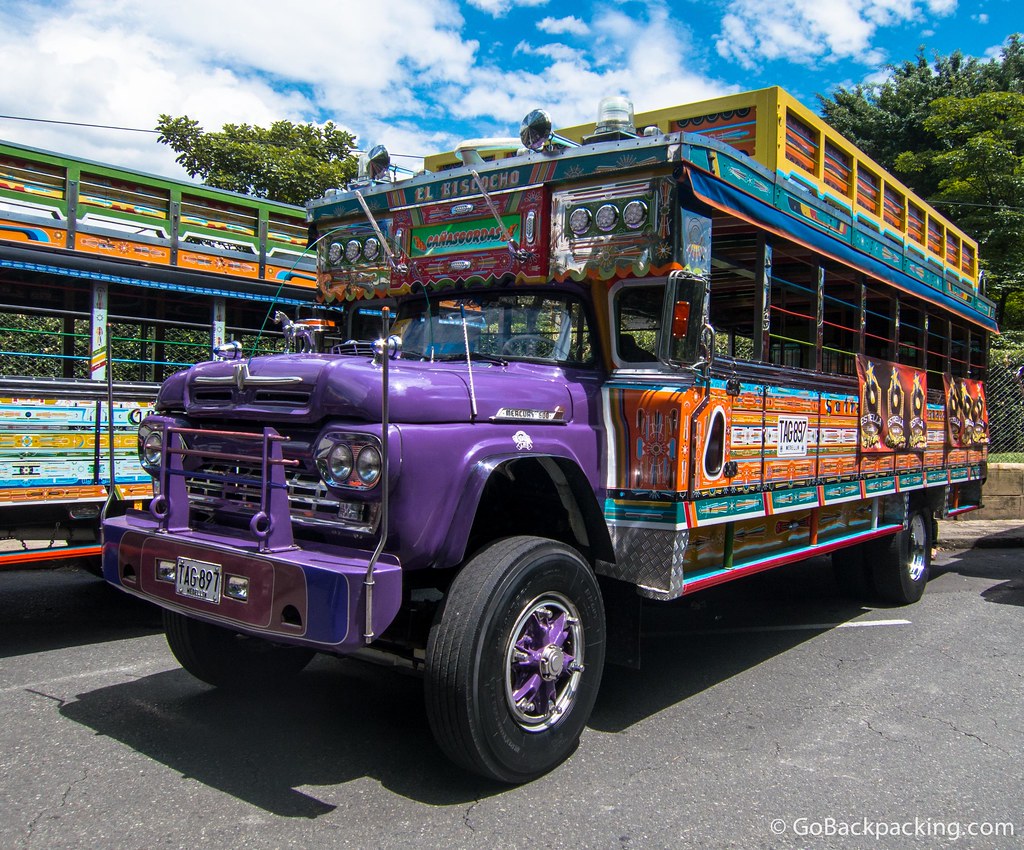 Purple chiva 