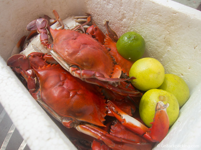 Fresh crab for sale on the beach
