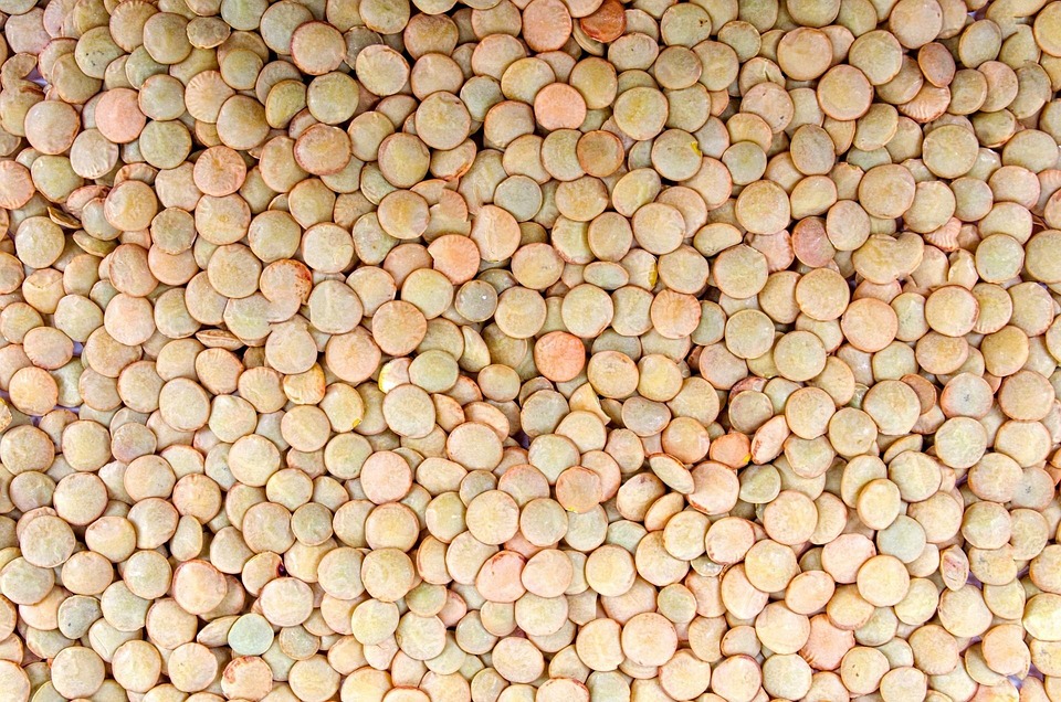 Agriculture, Backdrop, Bean, Brown, Cuisine, Decoration