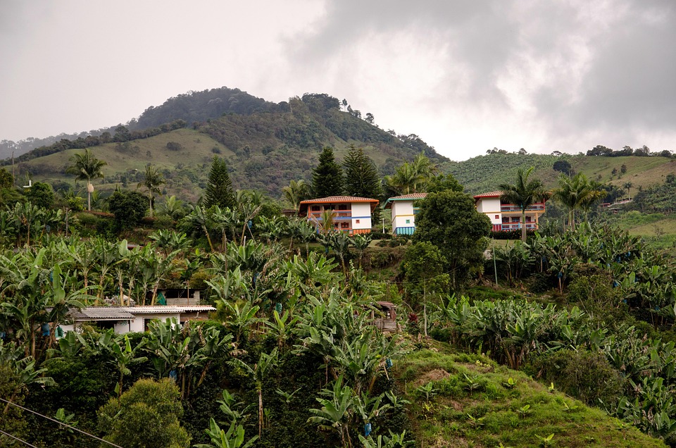 Colombia, Jardín, Zona Cafetera, Café